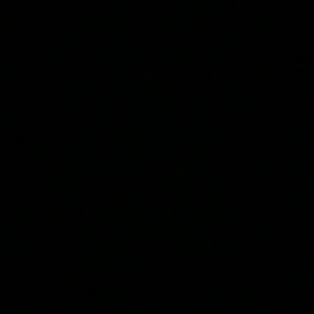 Meet your Posher, Barbra